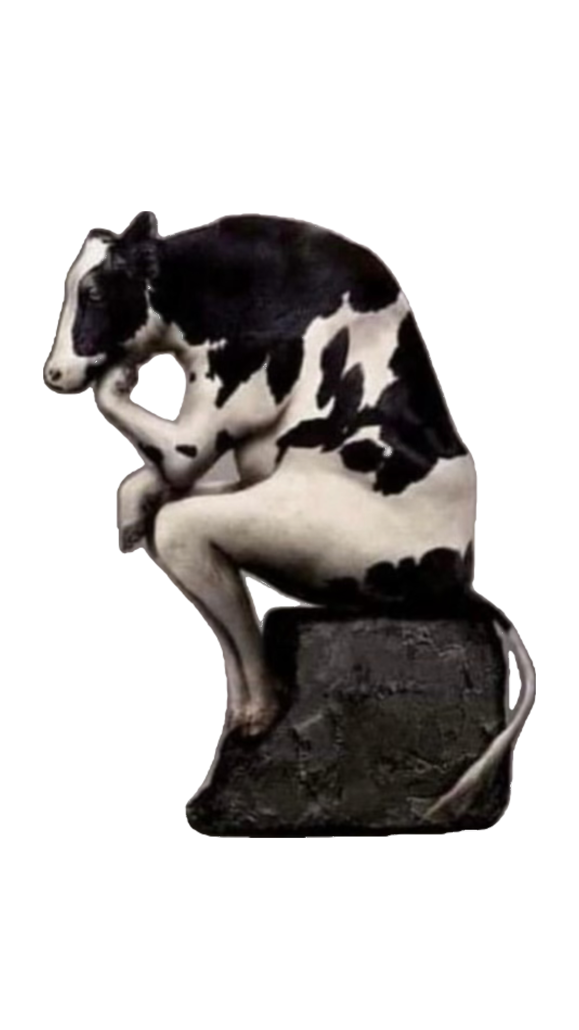 the thinking cow